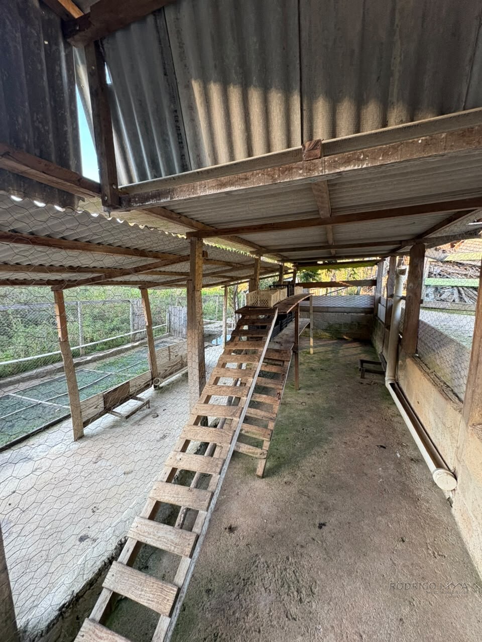 Chácara para venda em Dom Viçoso MG