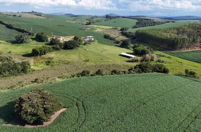 Fazenda para venda em Minduri MG
