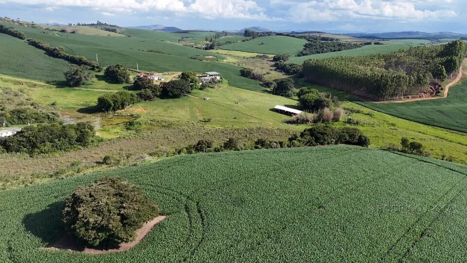 Fazenda para venda em Minduri MG