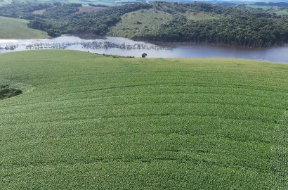 Fazenda para venda em Minduri MG