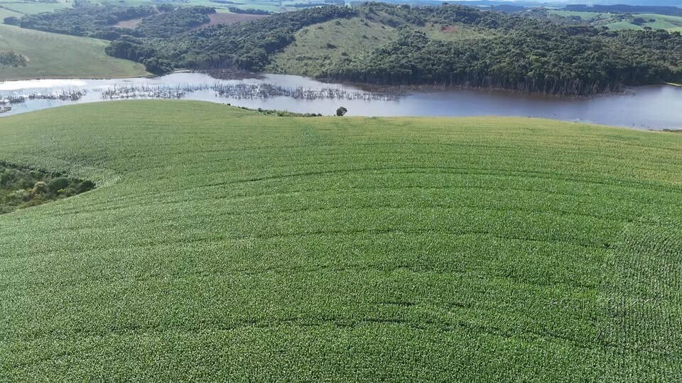 Fazenda para venda em Minduri MG