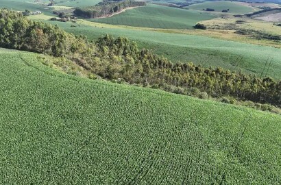 Fazenda para venda em Minduri MG