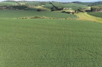 Fazenda para venda em Minduri MG