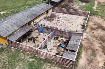 Fazenda para venda em Buenópolis MG