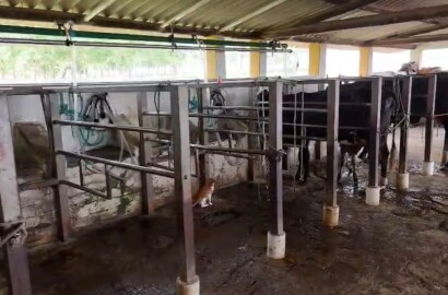 Fazenda para venda em Buenópolis MG