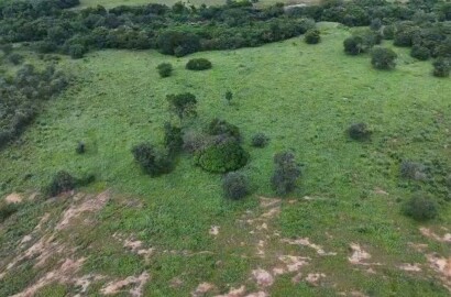 Fazenda para venda em Buenópolis MG