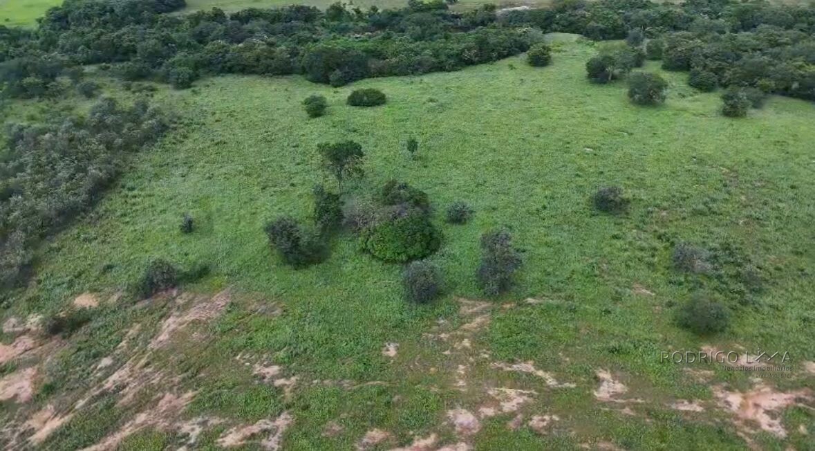 Fazenda para venda em Buenópolis MG
