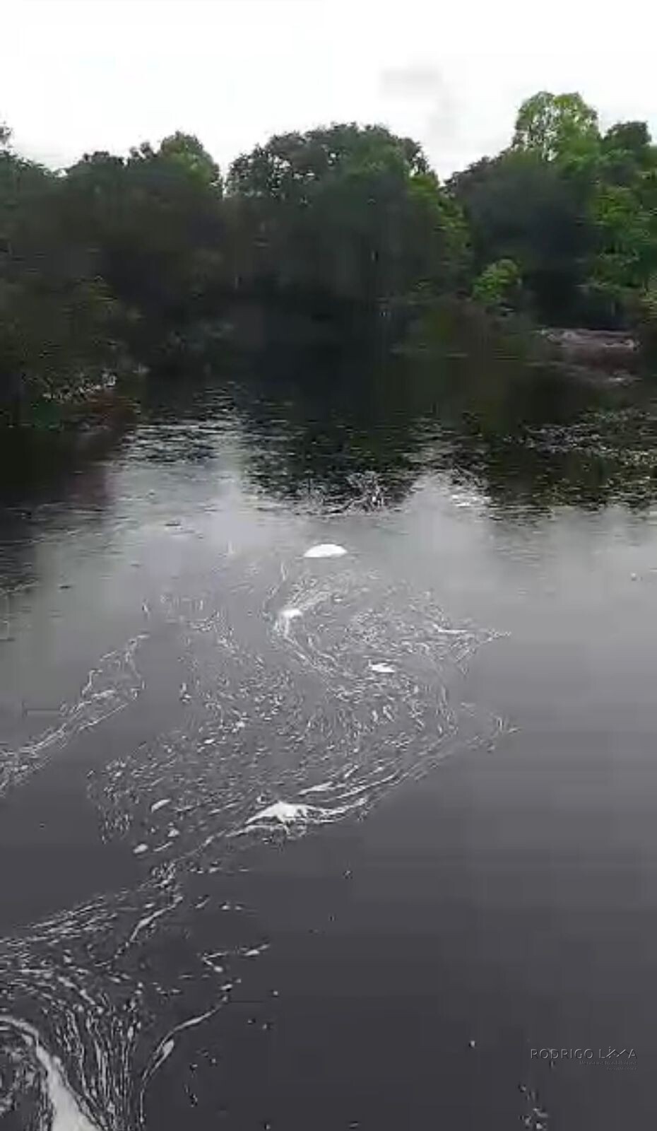 Fazenda para venda em Buenópolis MG