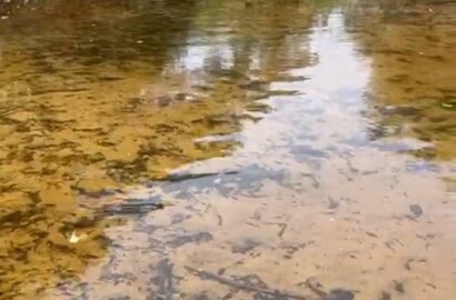 Fazenda para venda em Buenópolis MG