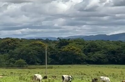 Fazenda para venda em Buenópolis MG