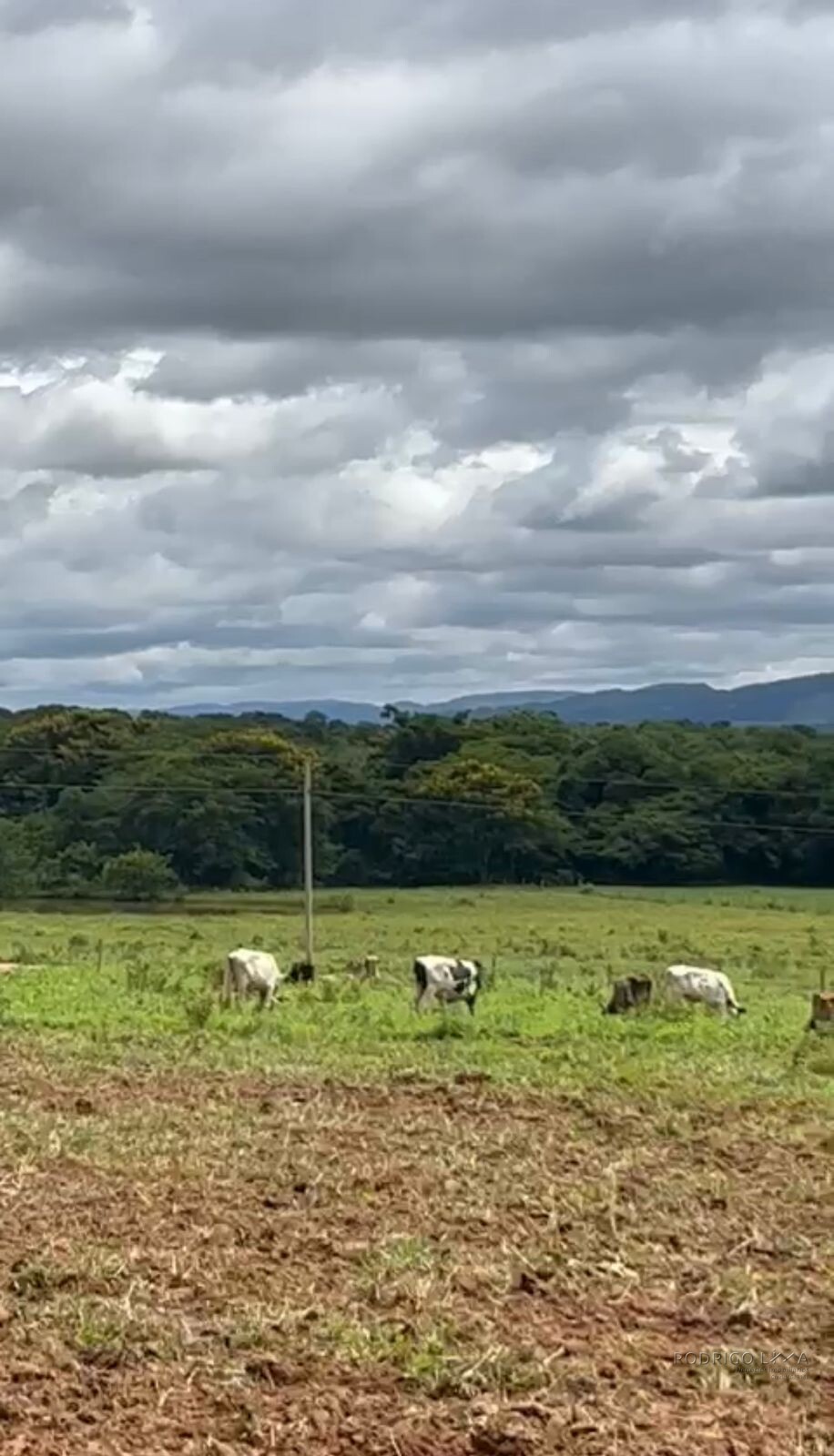 Fazenda para venda em Buenópolis MG