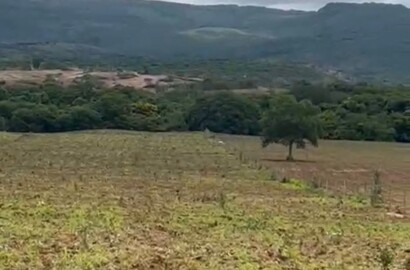 Fazenda para venda em Buenópolis MG