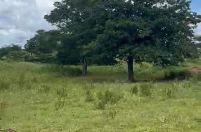 Fazenda para venda em Buenópolis MG
