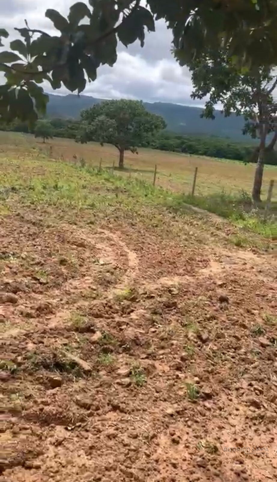 Fazenda para venda em Buenópolis MG
