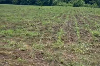 Fazenda para venda em Buenópolis MG