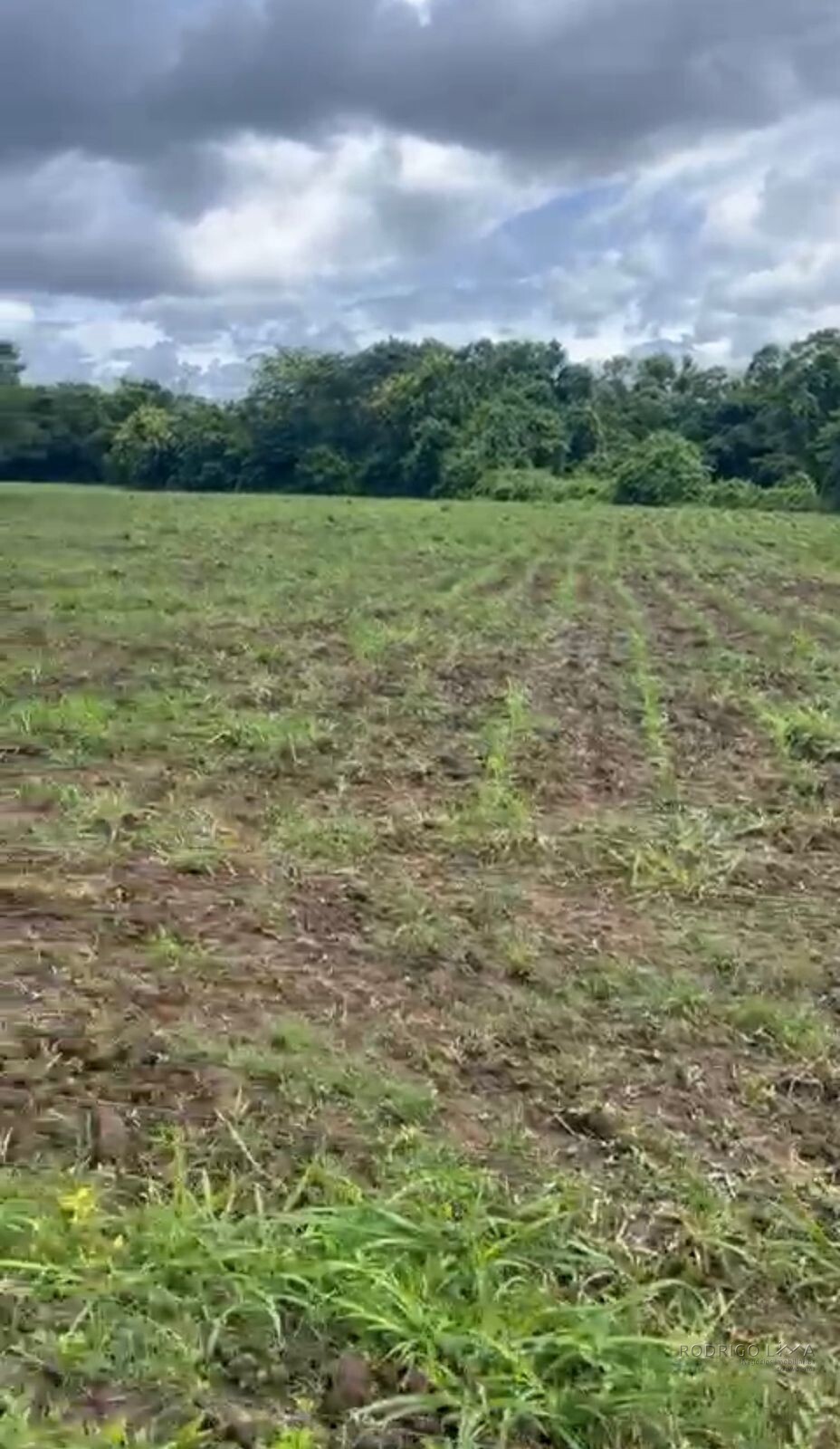 Fazenda para venda em Buenópolis MG