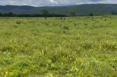 Fazenda para venda em Buenópolis MG