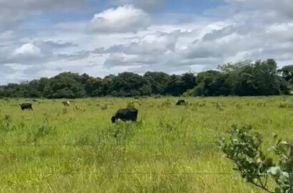 Fazenda para venda em Buenópolis MG