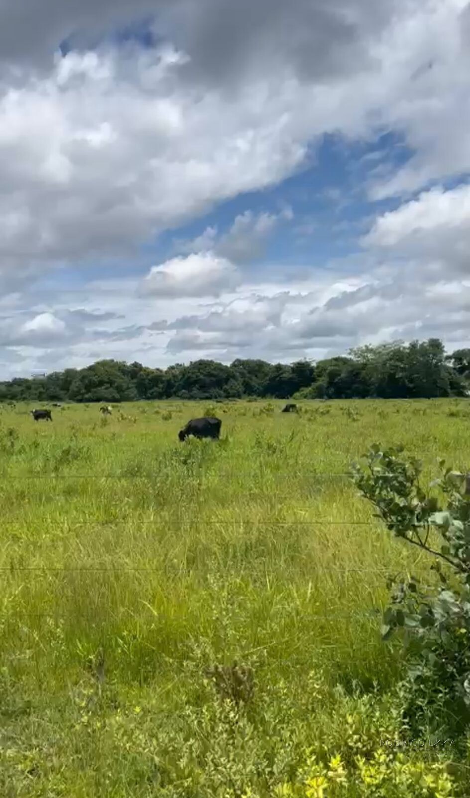 Fazenda para venda em Buenópolis MG