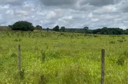 Fazenda para venda em Buenópolis MG
