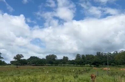 Fazenda para venda em Buenópolis MG