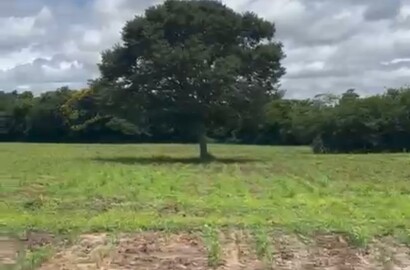 Fazenda para venda em Buenópolis MG