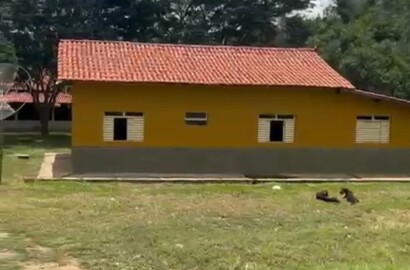 Fazenda para venda em Buenópolis MG