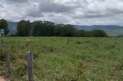 Fazenda para venda em Buenópolis MG