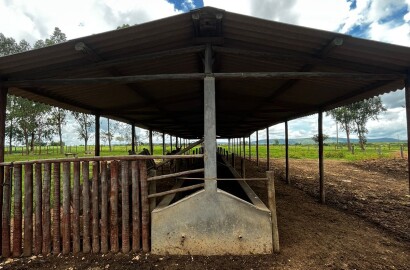 Fazenda para venda em Buenópolis MG