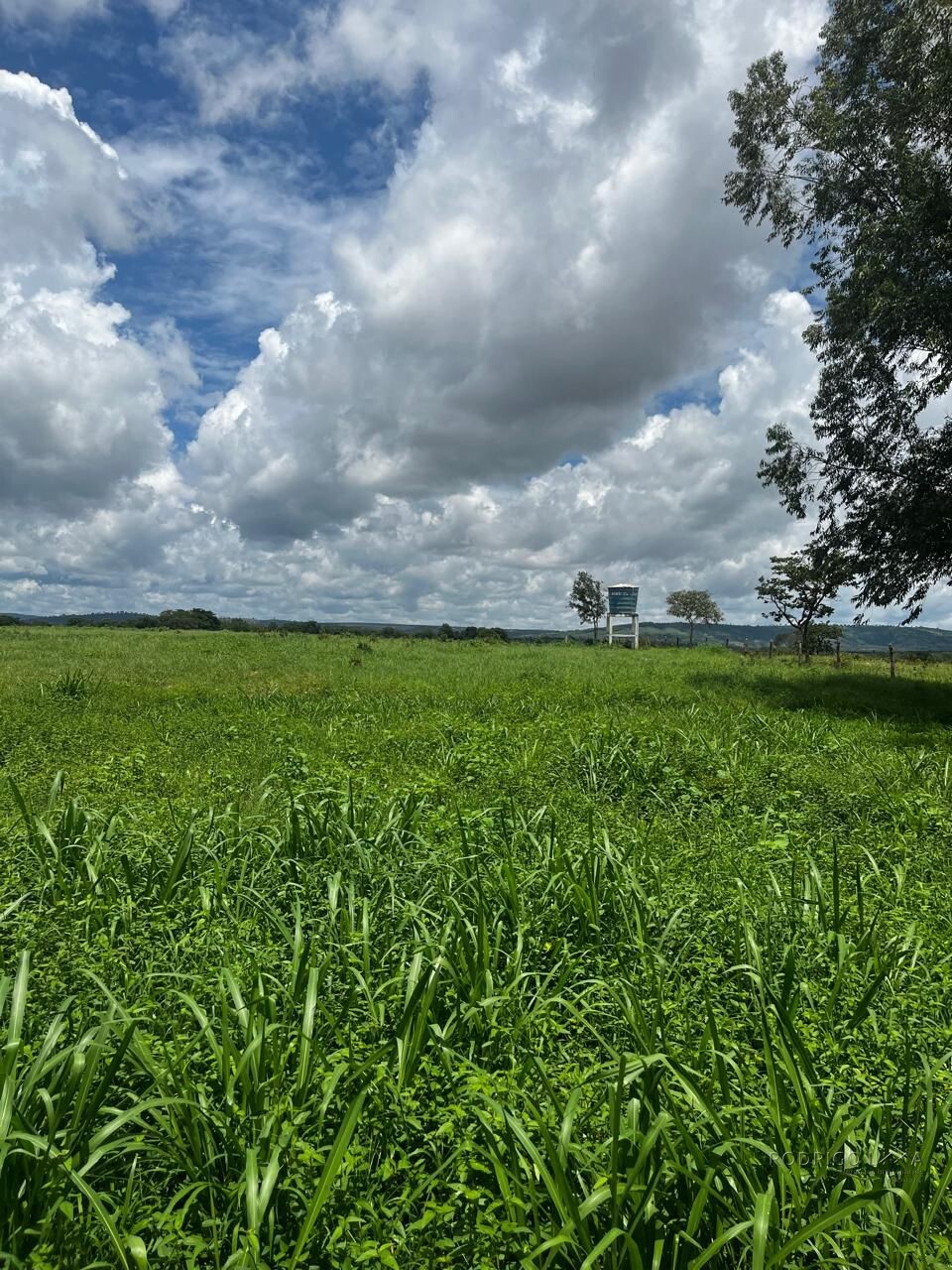 Fazenda para venda em Buenópolis MG