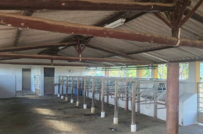 Fazenda para venda em Buenópolis MG