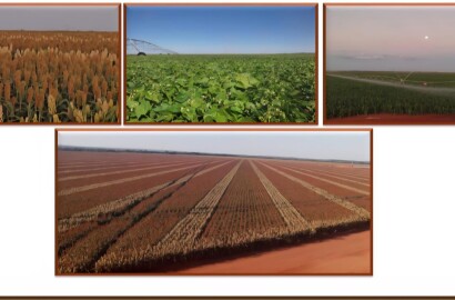 Fazenda para venda próximo a Paracatu MG