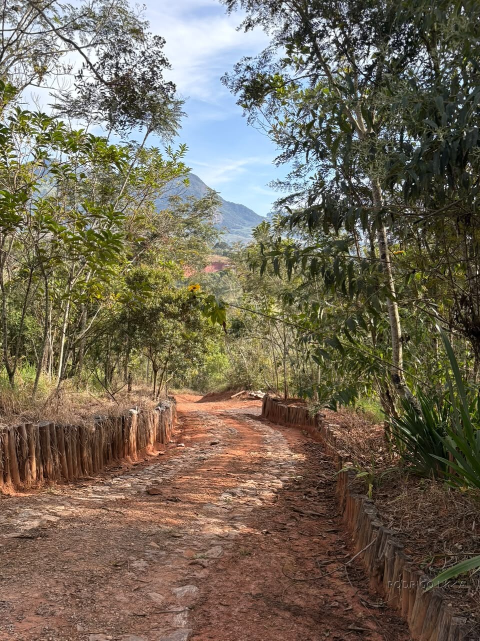 Chácara para venda em Dom Viçoso MG