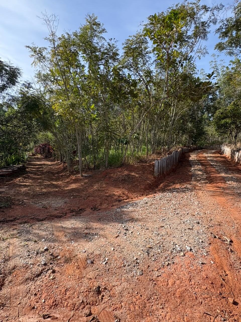 Chácara para venda em Dom Viçoso MG