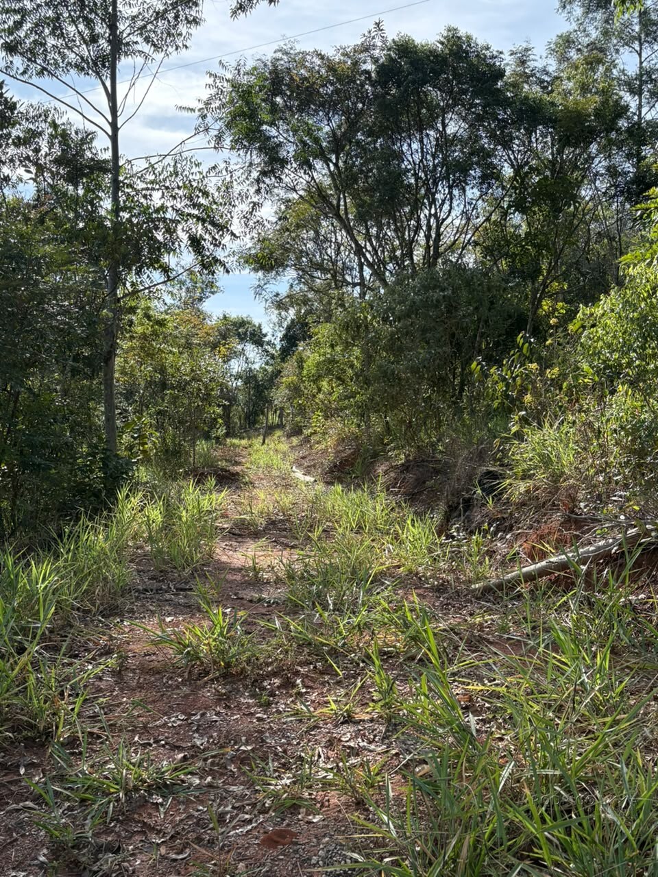 Chácara para venda em Dom Viçoso MG
