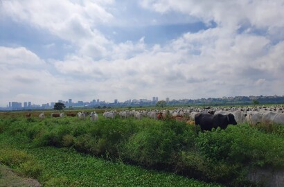 Fazenda para venda em São José dos Campos SP