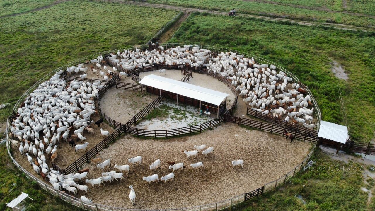 Fazenda para venda em São José dos Campos SP