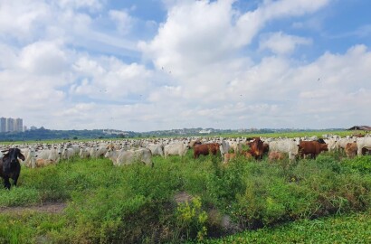Fazenda para venda em São José dos Campos SP