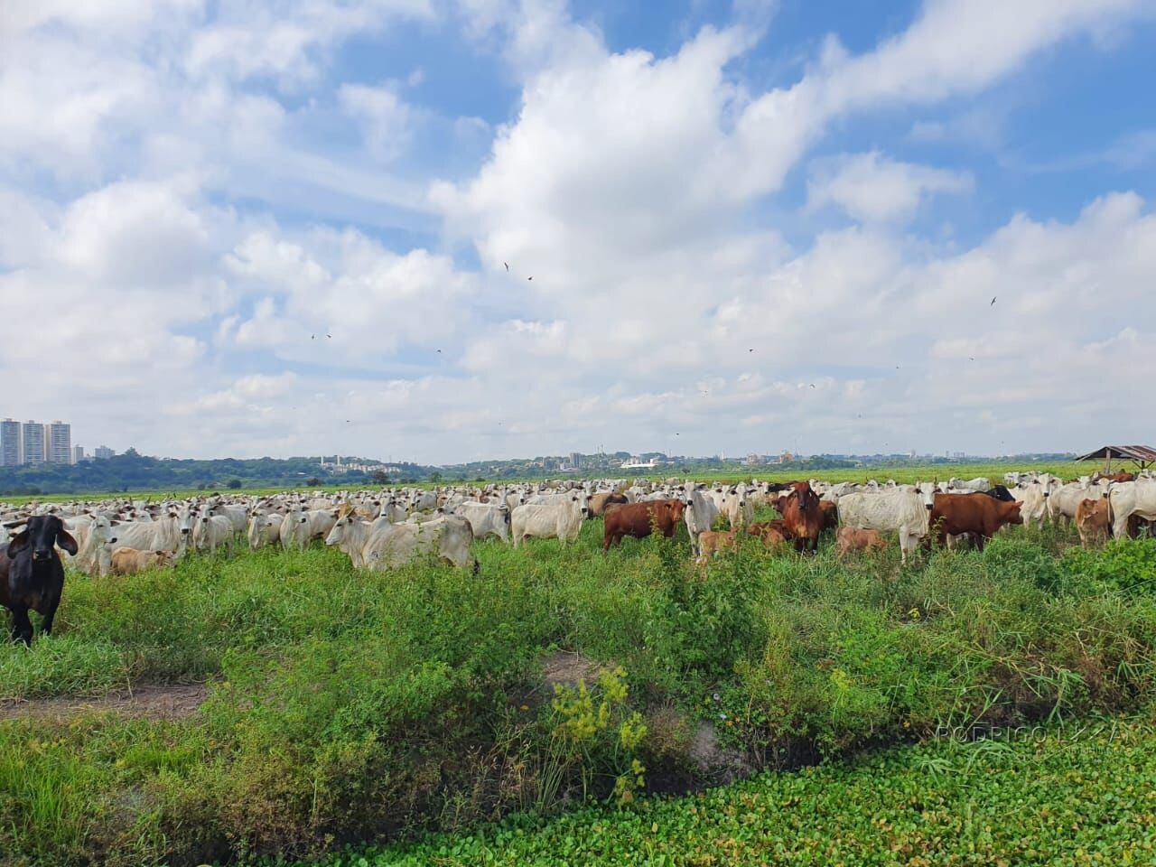 Fazenda para venda em São José dos Campos SP