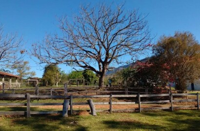 Fazenda para venda em Itajubá MG