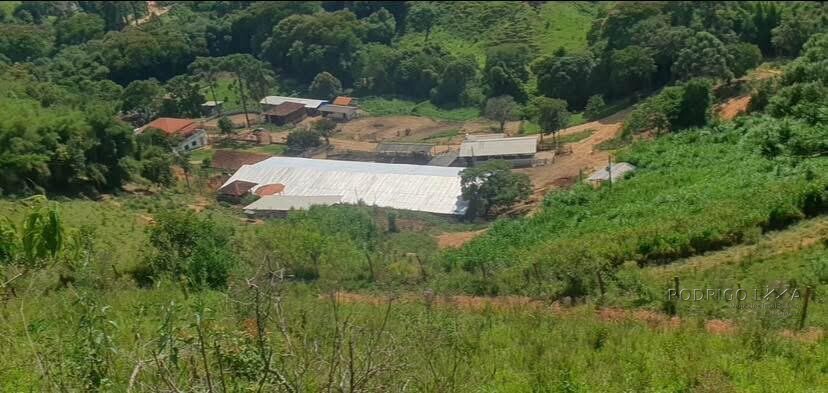 Fazenda para venda em Virgínia MG