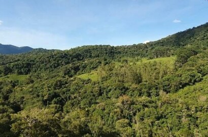 Fazenda para venda em Virgínia MG