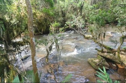 Fazenda para venda em Virgínia MG