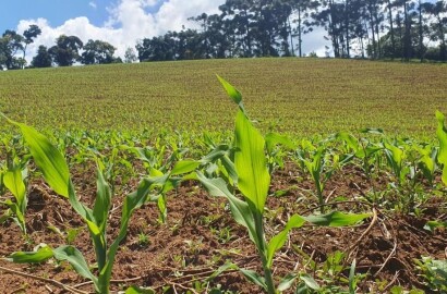 Fazenda para venda em Virgínia MG