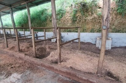 Fazenda para venda em Virgínia MG