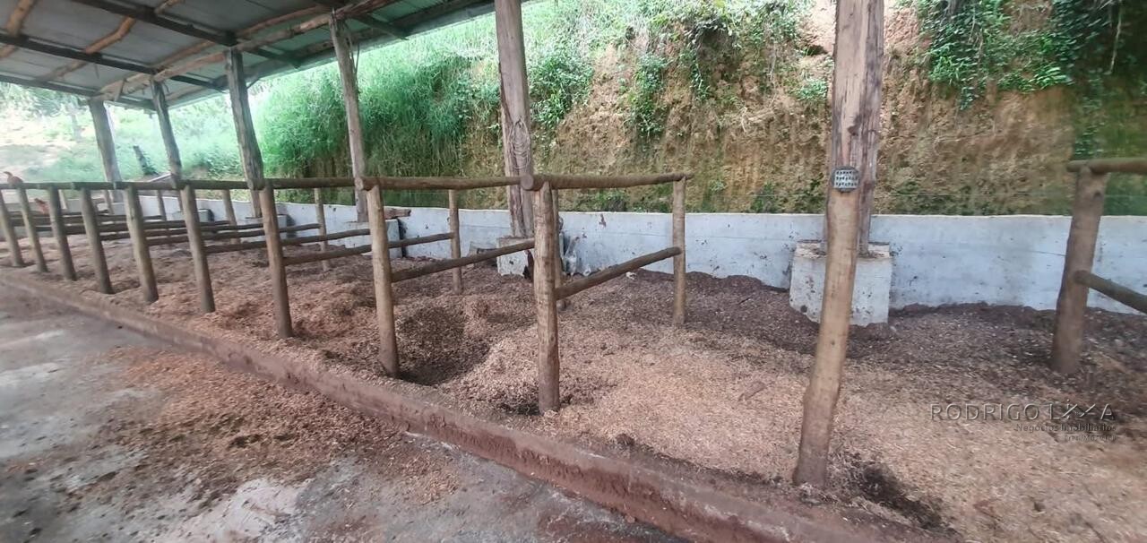 Fazenda para venda em Virgínia MG