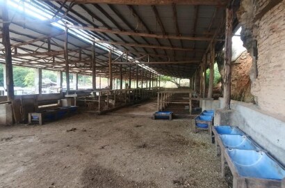 Fazenda para venda em Virgínia MG