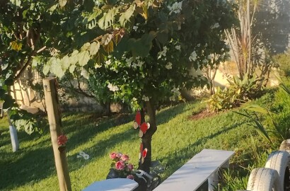 Vendo sítio em Maria da Fé MG