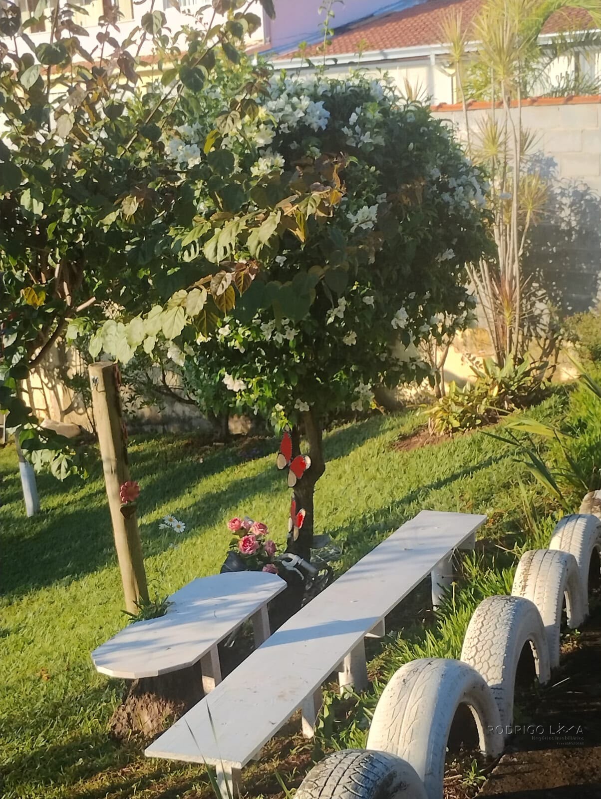 Vendo sítio em Maria da Fé MG