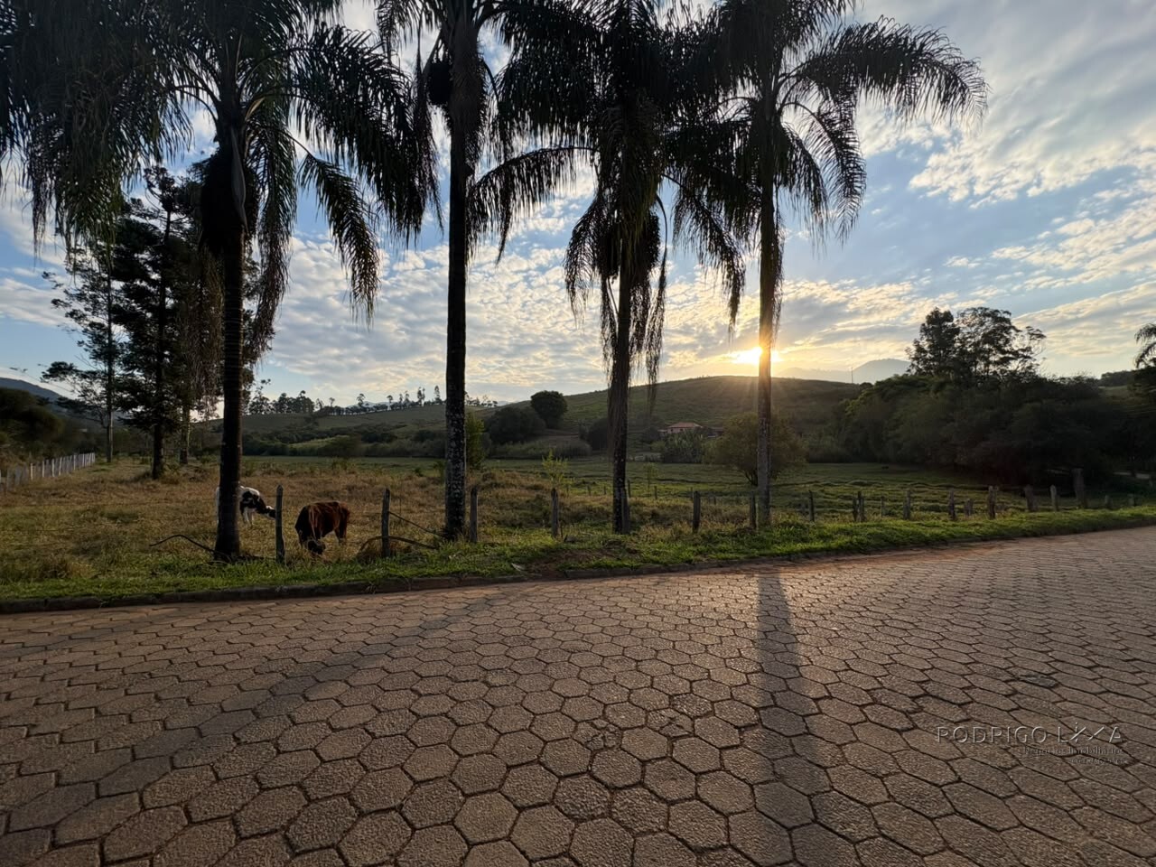 Lote para venda em Dom Viçoso Mg